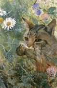 unknow artist Cats with fagelunge in mouth France oil painting artist